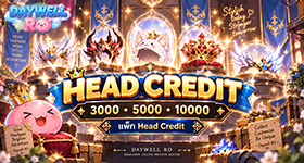 Head Credit 3000 / 5000 / 10000